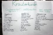 08_Projektwoche2015 08_Projektwoche2015